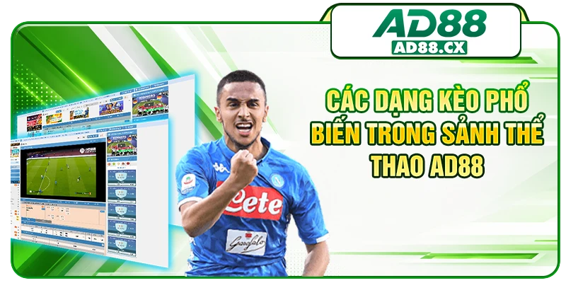 Các dạng kèo phổ biến trong sảnh thể thao AD88