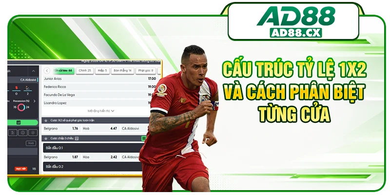 Cấu trúc tỷ lệ 1X2 và cách phân biệt từng cửa