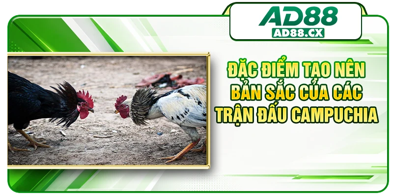 Đặc điểm tạo nên bản sắc của các trận đấu Campuchia